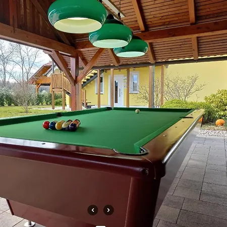 Ana Villa Borst (Metlika)